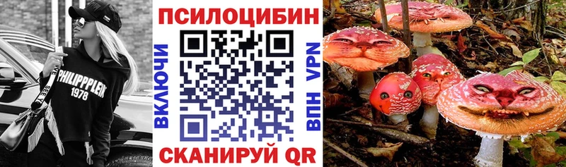 Псилоцибиновые грибы прущие грибы  Ахтырский 